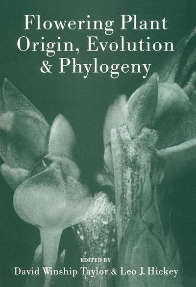 Cover for David Winship Taylor · Flowering Plant Origin, Evolution &amp; Phylogeny (Hardcover Book) [1996 edition] (1995)