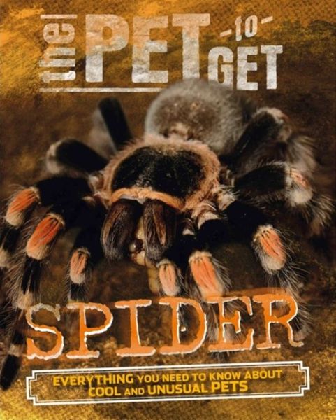 The Pet to Get: Spider - The Pet to Get - Rob Colson - Książki - Hachette Children's Group - 9780750289412 - 26 stycznia 2017