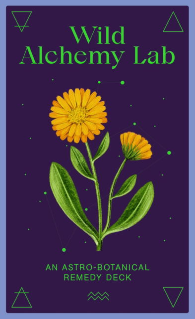 Wild Alchemy Lab: An Astro-botanical Remedy Deck - Jemma Foster - Books - Orion Publishing Co - 9780857829412 - June 22, 2023