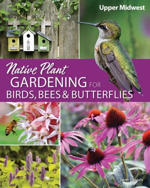 Cover for Jaret C. Daniels · Native Plant Gardening for Birds, Bees &amp; Butterflies: Upper Midwest: Upper Midwest - Nature-Friendly Gardens (Pocketbok) (2020)