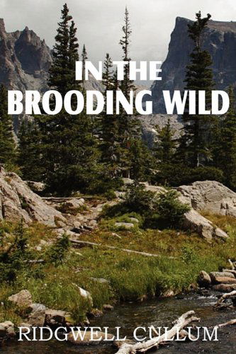 Cover for Ridgwell Cullum · In the Brooding Wild (Paperback Book) (2011)