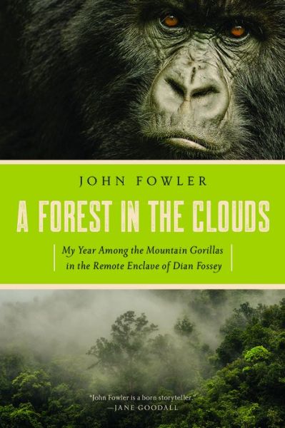 Cover for John Fowler · A Forest in the Clouds: My Year Among the Mountain Gorillas in the Remote Enclave of Dian Fossey (Paperback Book) (2019)