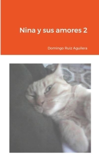 Cover for Domingo Ruiz Aguilera · Nina Y Sus Amores 2 (Paperback Book) (2021)