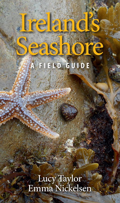 Cover for Lucy Taylor · Ireland's Seashore: A Field Guide (Paperback Book) (2018)