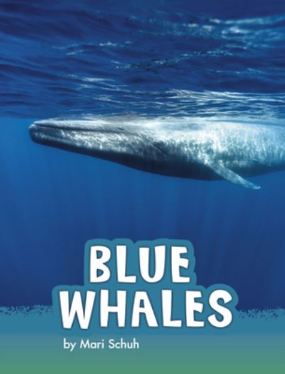 Cover for Mari Schuh · Blue Whales (Hardcover Book) (2020)