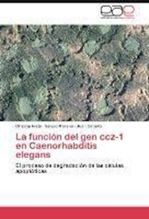 Cover for Nieto · La función del gen ccz-1 en Caeno (Book) (2013)