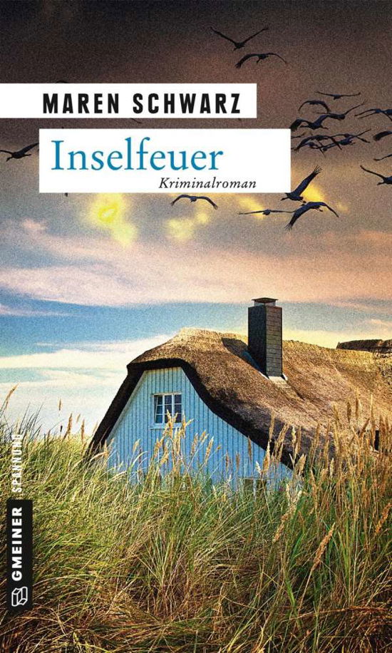 Cover for Schwarz · Inselfeuer (Buch)