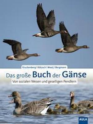 Das große Buch der Gänse - Helmut Kruckenberg - Books - Aula-Verlag GmbH - 9783891048412 - March 14, 2022