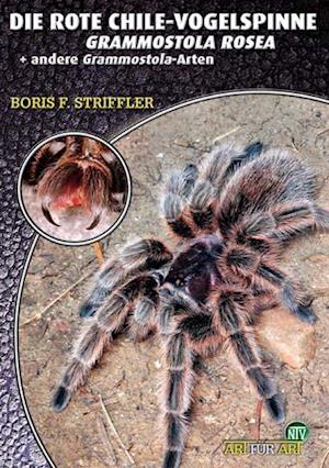 Cover for Boris Striffler · Die Rote Chile-Vogelspinne + andere Grammostaola-Arten (Paperback Book) (2004)