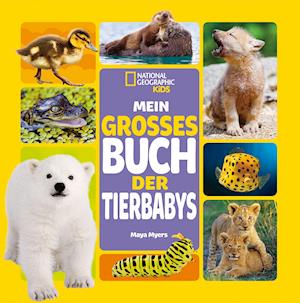 Cover for Maya Myers · Mein großes Buch der Tierbabys (Inbunden Bok) (2022)