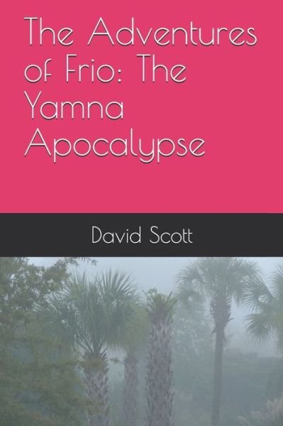 Cover for David Scott · The Adventures of Frio (Paperback Book) (2020)