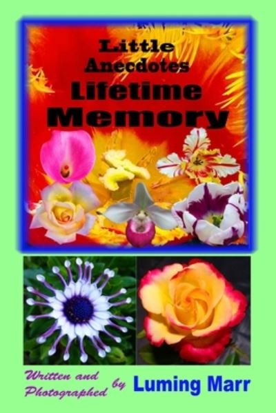 Cover for Luming Marr · Little Anecdotes Lifetime Memory (Pocketbok) (2020)