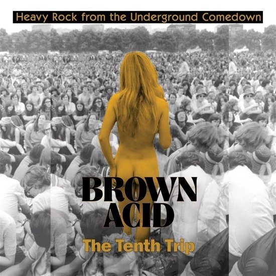 Cover for Brown Acid - the Tenth Trip / Various (LP) (2020)