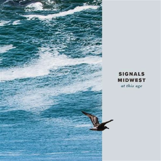 Cover for Signals Midwest · At This Age (LP) (2016)