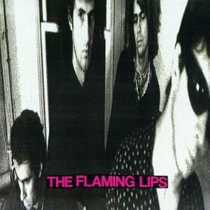 In a Priest Driven Ambulance - the Flaming Lips - Muziek - PLAIN RECORDINGS - 0646315511413 - 23 maart 2006