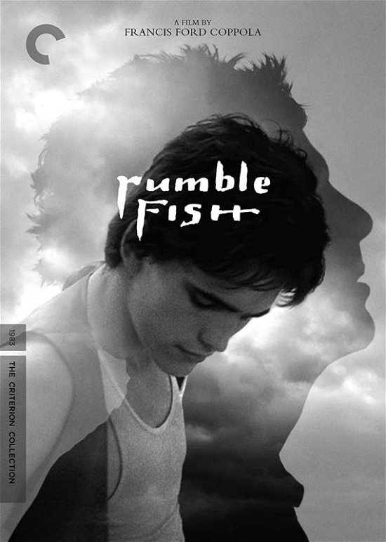 Cover for Criterion Collection · Rumble Fish / DVD (DVD) (2017)