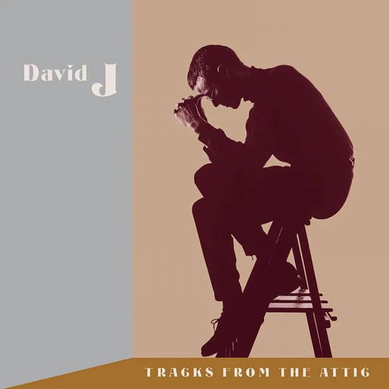 Tracks From The Attic  (Red Vinyl) - David J - Musik - INDEPENDENT PROJECT - 0761971508413 - 24. November 2023