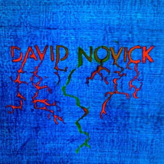 Cover for David Novick (LP) [Standard edition] (2013)