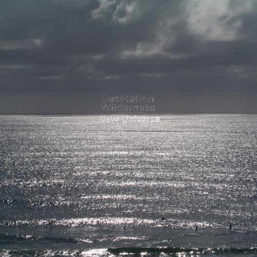 Cover for Desolation Wilderness · New Universe (LP) (2009)
