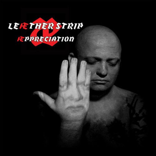 Cover for Leaether Strip · Aeppreciation (LP) [Coloured edition] (2019)