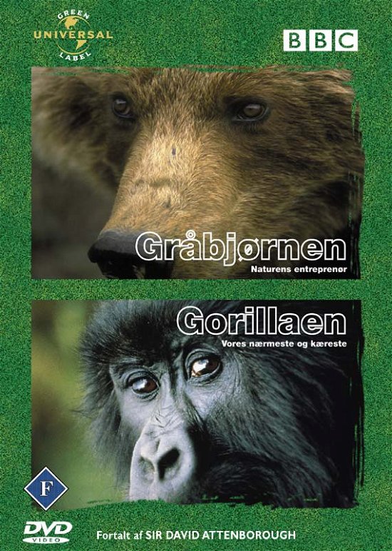 Cover for Gråbjørnen + Gorillaen [DVD] (DVD) (2017)