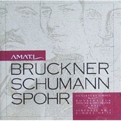 Cover for Anton Bruckner  · Ouverture In Sol (1862 63) (CD)
