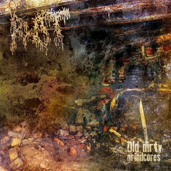 Cover for Rot · Old Dirty Grindcores (CD) (2018)