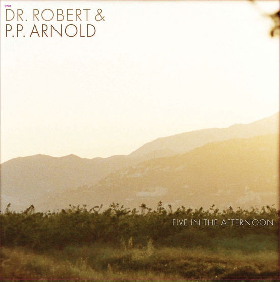 Cover for Dr. Robert · Five In The Afternoon (LP) (2017)