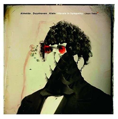 Cover for Klein / Almeida / Van Duynhov · Vibrate In Sympathy (CD) (2015)