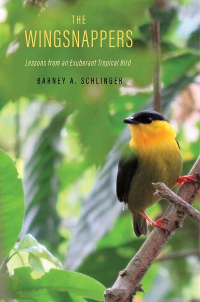 Cover for Barney A. Schlinger · The Wingsnappers: Lessons from an Exuberant Tropical Bird (Hardcover Book) (2023)