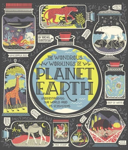 Cover for Rachel Ignotofsky · The Wondrous Workings of Planet Earth: Understanding Our World and Its Ecosystems (Hardcover Book) (2018)