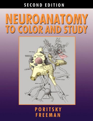 Neuroanatomy to Color and Study - Barbara K Freeman - Książki - Converpage - 9780983578413 - 31 maja 2011