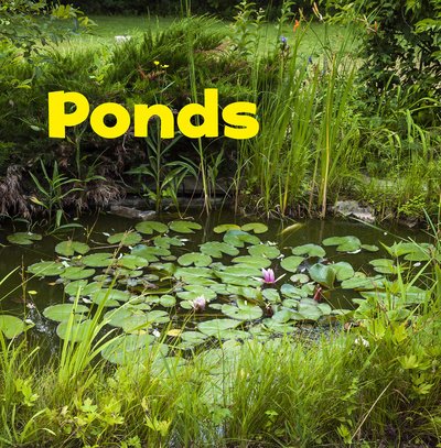 Cover for Shores, Erika  L. (Digital Editor) · Ponds - Bodies of Water (Pocketbok) (2020)