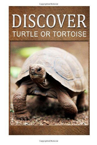 Cover for Discover Press · Turtle or Tortoise - Discover: Early Reader's Wildlife Photography Book (Taschenbuch) (2014)