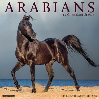 Willow Creek Press · Arabians 2025 12 X 12 Wall Calendar (Kalender) (2024)