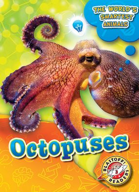 Cover for Joanne Mattern · Octopuses (Hardcover Book) (2020)