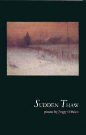 Sudden Thaw - Peggy O'Brien - Books - The Lilliput Press Ltd - 9781843510413 - May 24, 2004