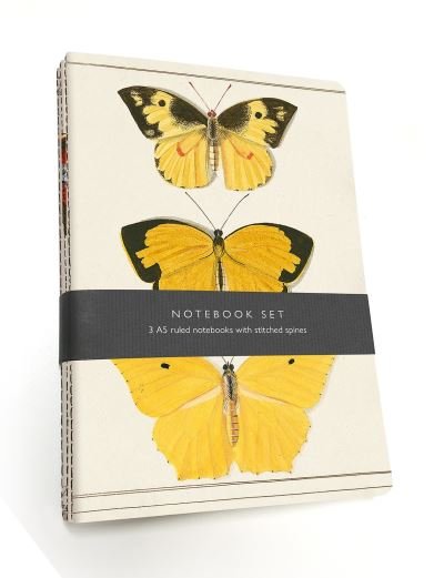 Cover for Oxford University Museum History Bodleian Library · Butterfly Notebook Set: 3 A5 lined notebooks with stitched spines (Stationery) (2020)