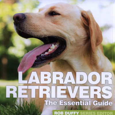 Cover for Robert Duffy · Labrador Retrievers: The Essential Guide (Paperback Book) (2019)