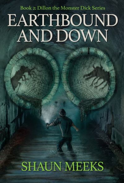 Cover for Shaun Meeks · Earthbound and Down (Paperback Book) (2017)