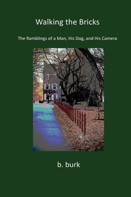 Cover for B Burk · Walking the Bricks (Paperback Book) (2014)