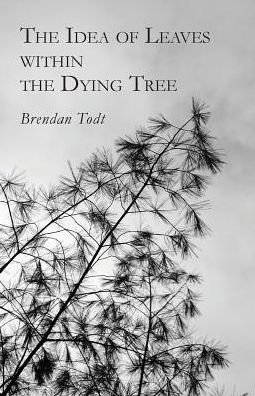Cover for Bendan Todt · The idea of leaves within the dying tree (Book) [First edition. edition] (2015)