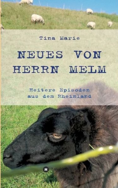 Cover for Marie · Neues von Herrn Melm (Book) (2020)