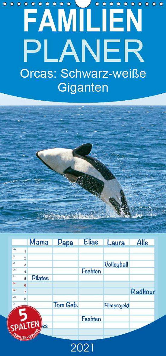 Cover for Orcas · Schwarz-weiße Giganten - Familie (Book)