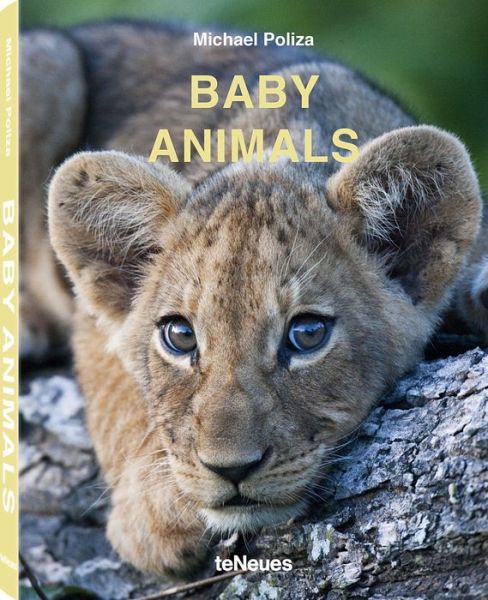 Cover for Michael Poliza · Baby Animals (Hardcover Book) [Revised edition] (2018)