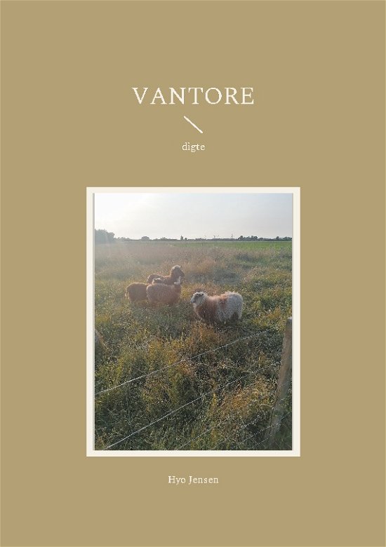 Cover for Hyo Jensen; Hyo Jensen · Vantore (Pocketbok) [1. utgave] (2022)