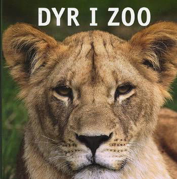 Cover for Mette Jørgensen · Dyr i Zoo (Pappbok) [1. utgave] (2008)
