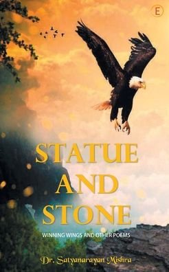Cover for Dr Satyanarayan Mishra · Statue And Stone (Paperback Book) (2020)