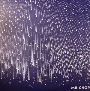 Cover for Mr. Chop · For Pete's Sake (LP) (2009)