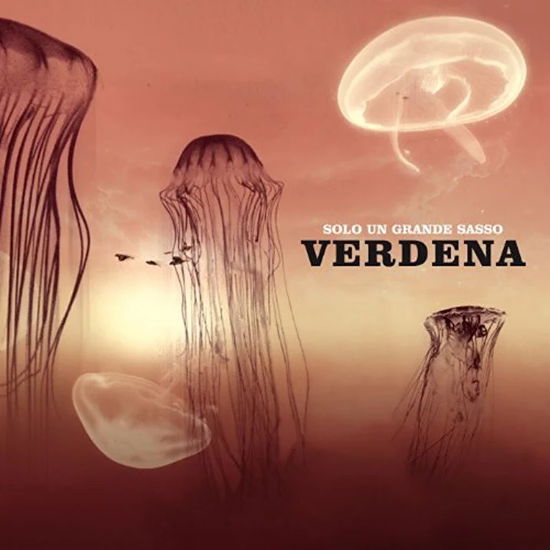 Cover for Verdena · Solo Un Grande Sasso (LP) (2022)